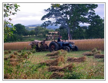 Local area around Smithfield Farm B&B